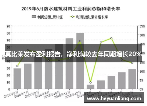 莫比莱发布盈利报告，净利润较去年同期增长20%